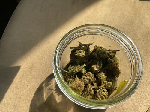 Super Lemon Haze - 14 Grams - Sativa photo review