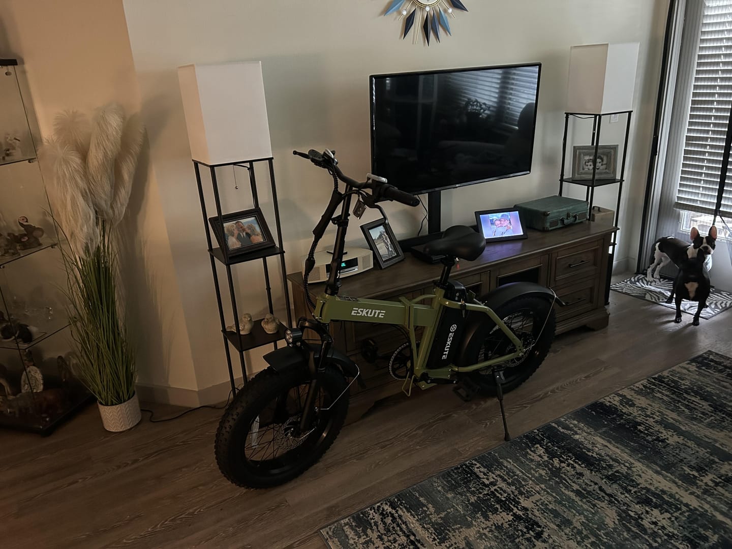 Customer photo review of Eskute® D300  Adventurer Ebike