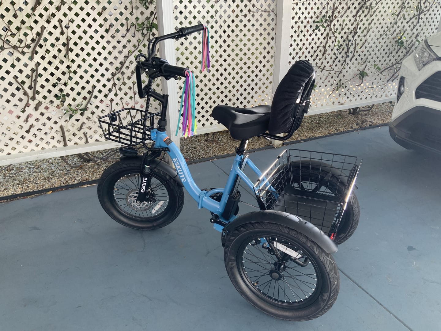 Customer photo review of Eskute® T300Pro Folding Electric Trike
