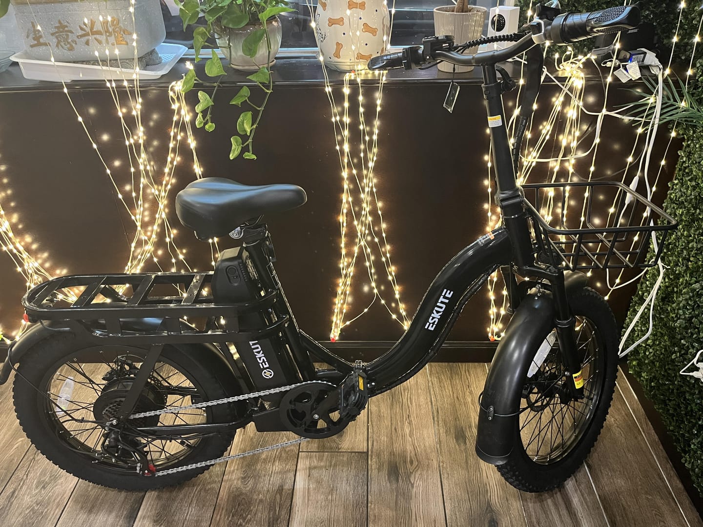 Customer photo review of Eskute® D200 Folding Electric Bike for Adults
