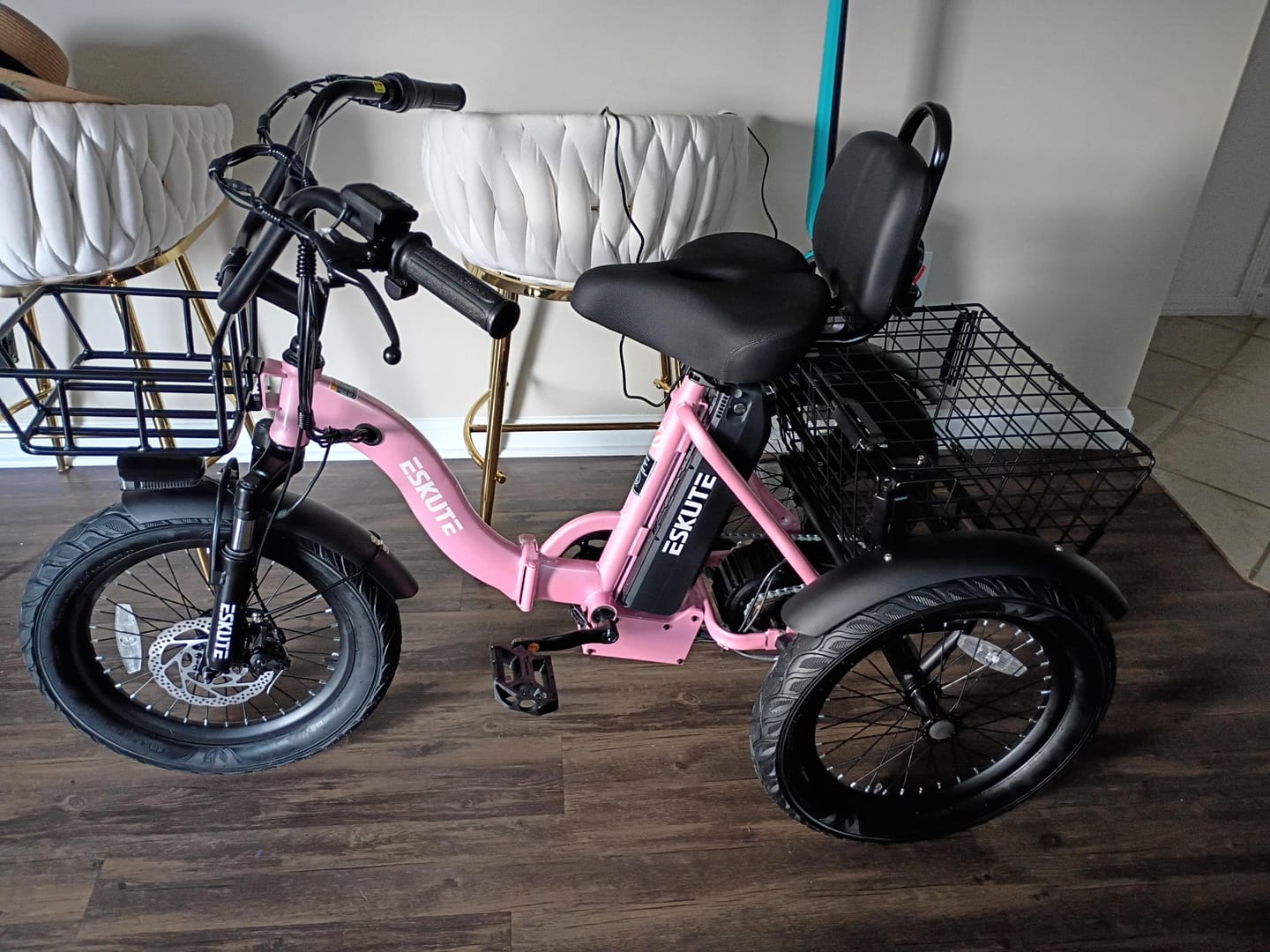 Customer photo review of Eskute® T300 Folding Electric Trike