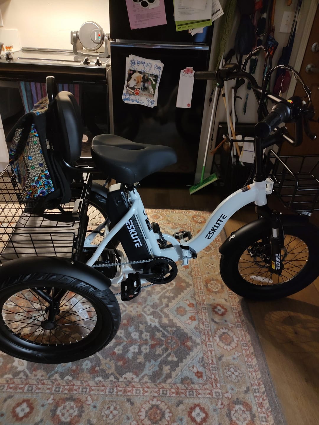 Customer photo review of Eskute® T300 Folding Electric Trike