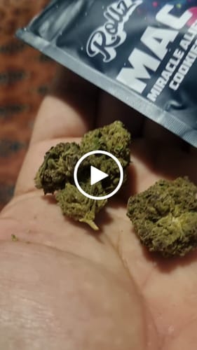 Customer video review of THC-A Flower Miracle Alien Cookies