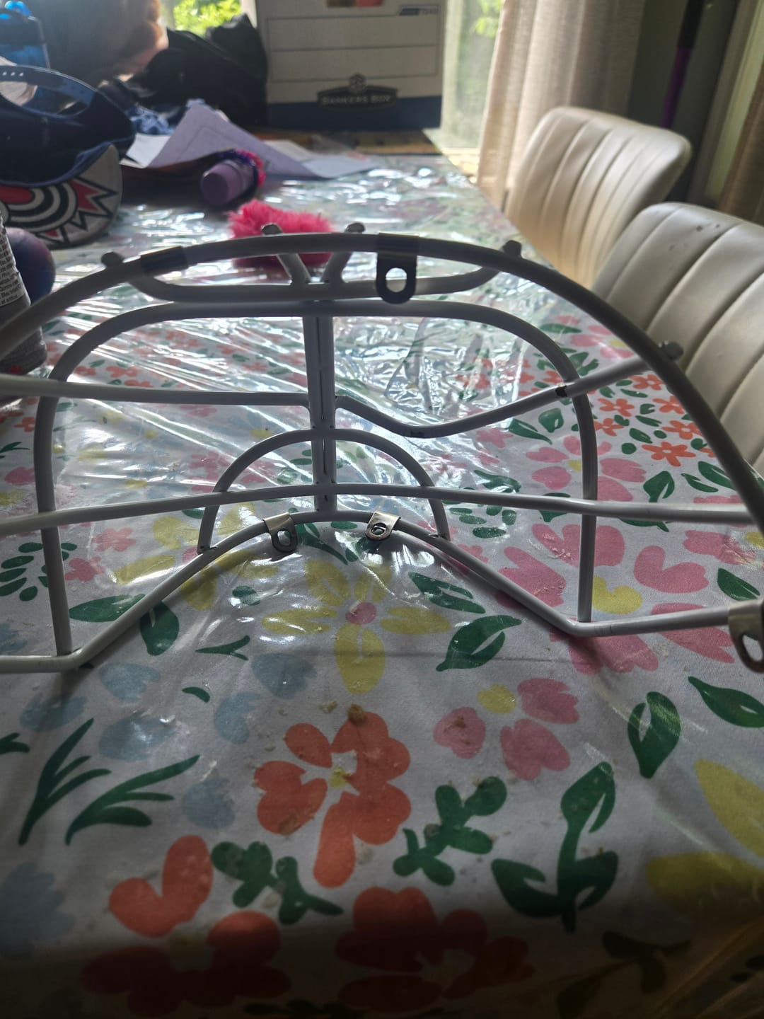 Customer photo review of Grille Cat-Eye Pro Cage