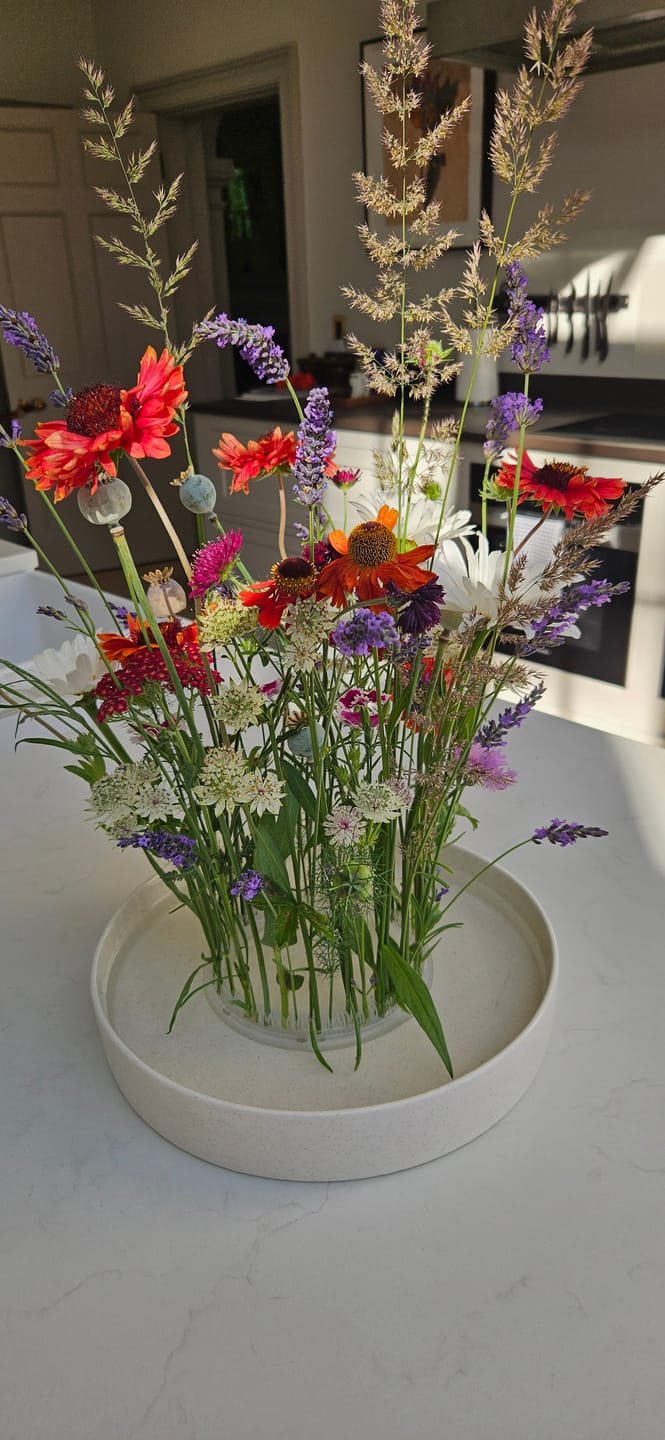 Customer photo review of Kenzan Rake – Flower Frog Cleaner
