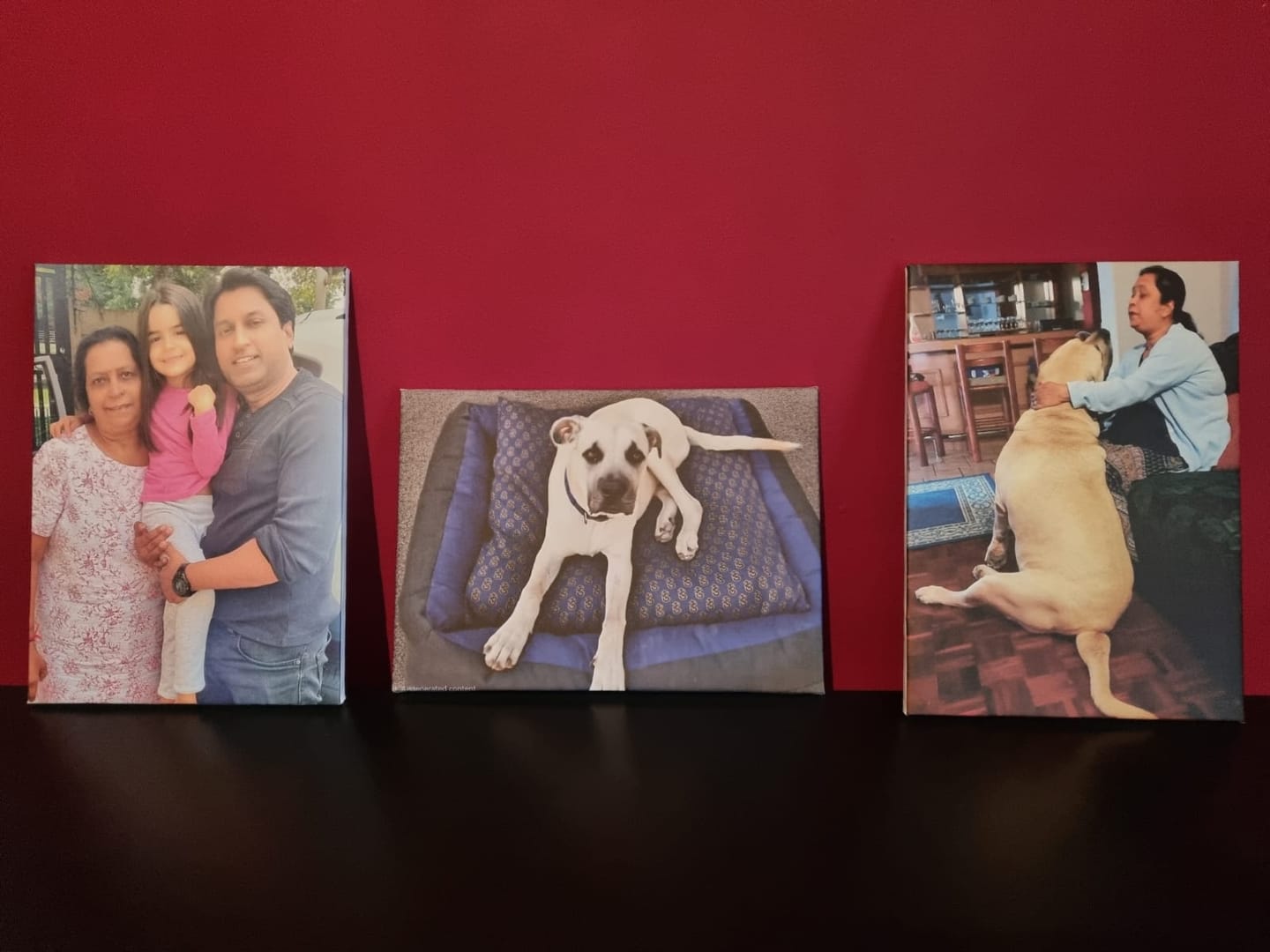 Customer photo review of 3 x A3 Canvas Combo