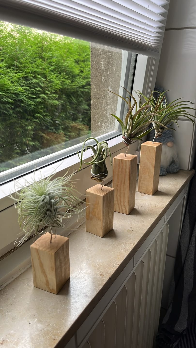 Customer photo review of Tilly Xylo - Esche