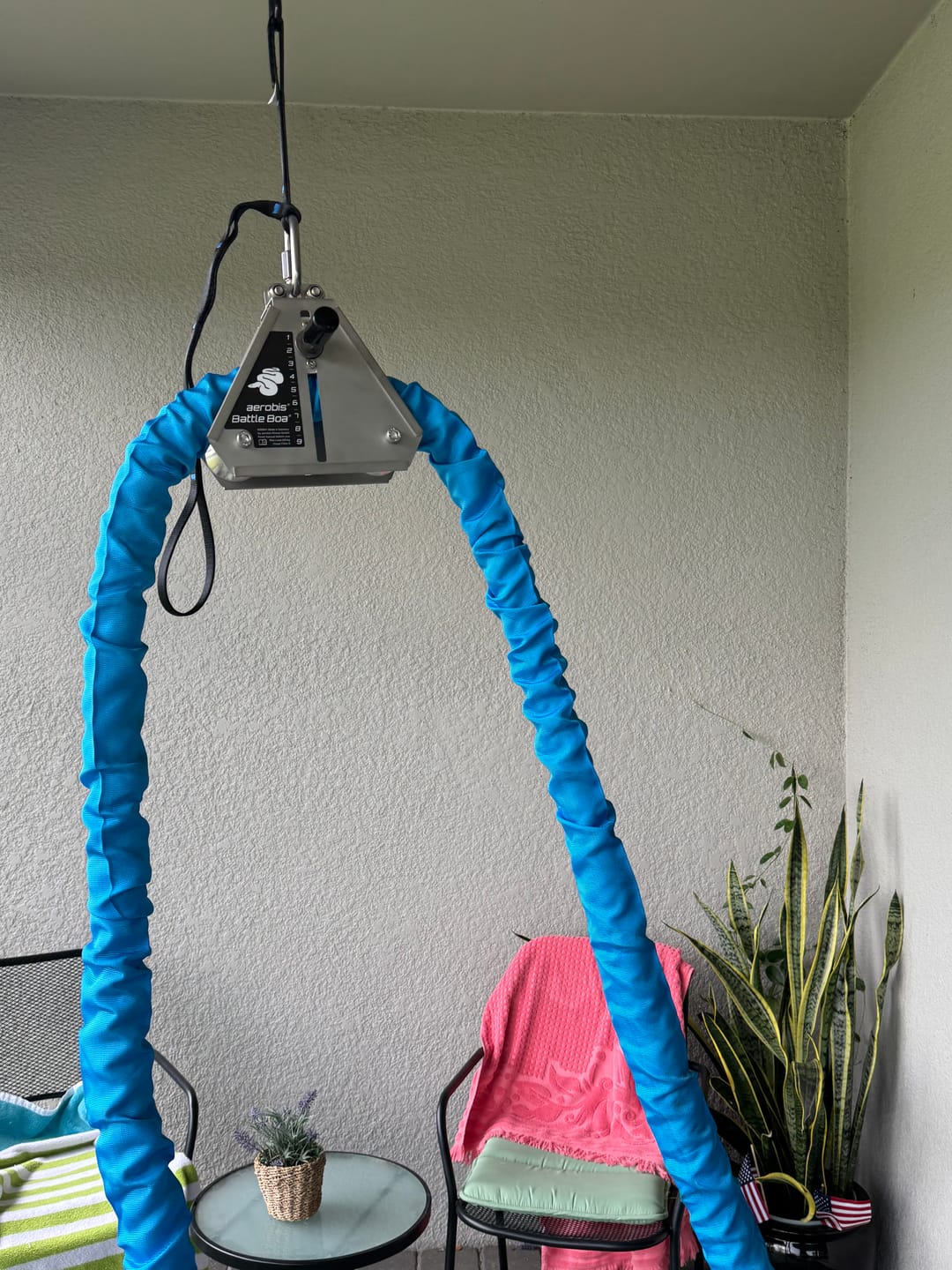 Customer photo review of Battle Boa - Rope Resistance Trainer