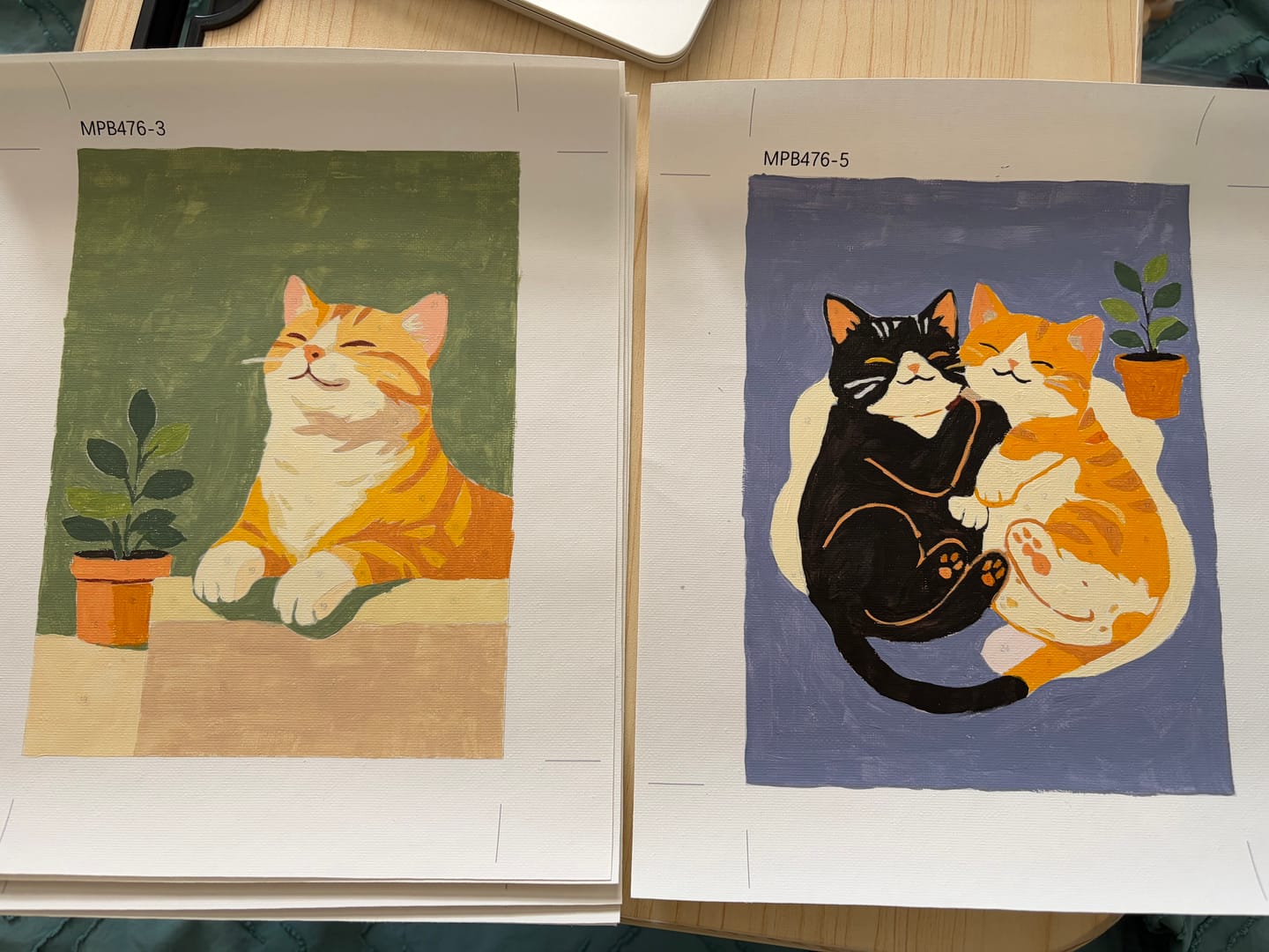 Customer photo review of 6 Mini Paintings - Cute House Cats Set