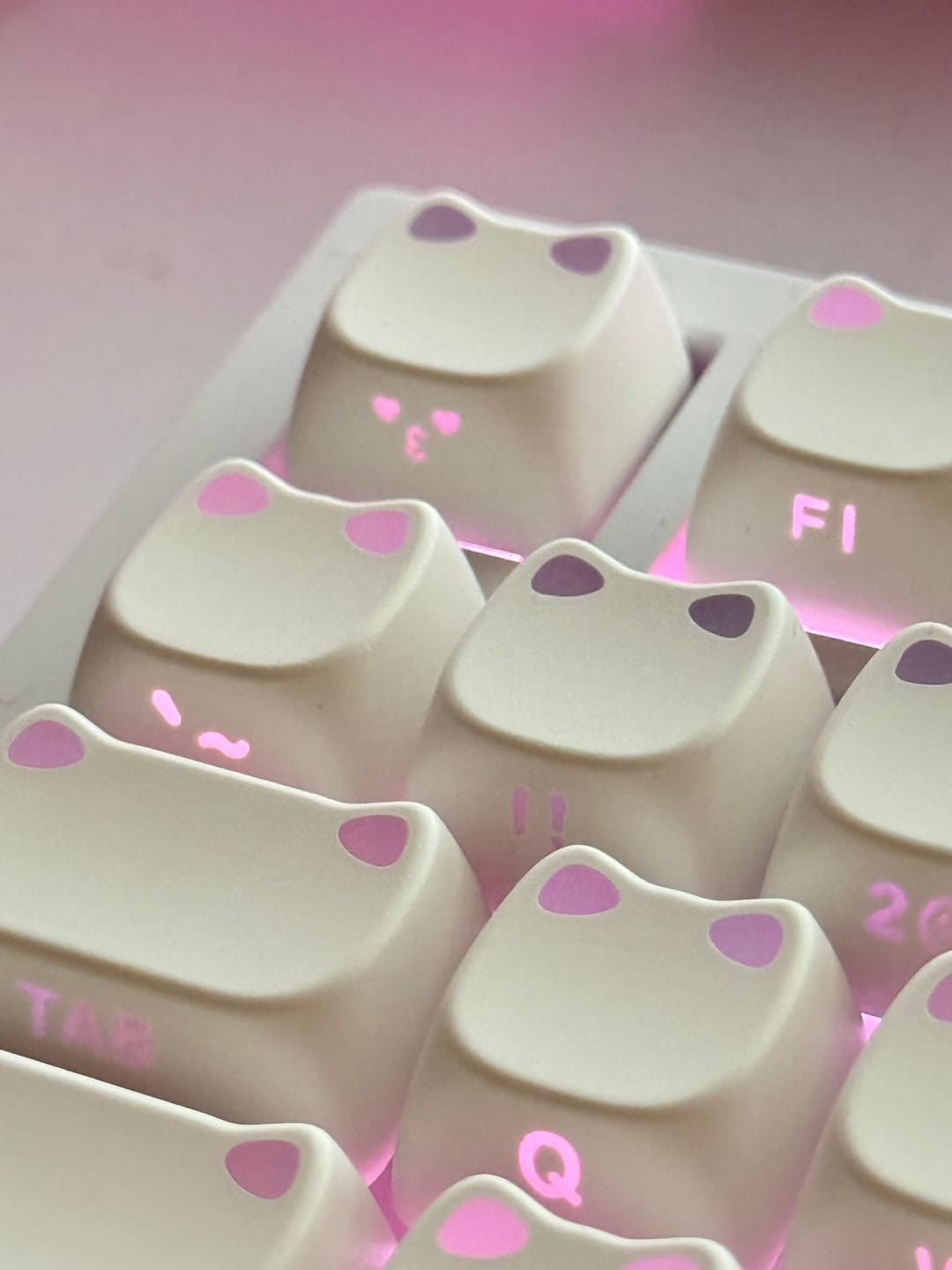 Customer photo review of XVX Lumicat Tuş Takımı