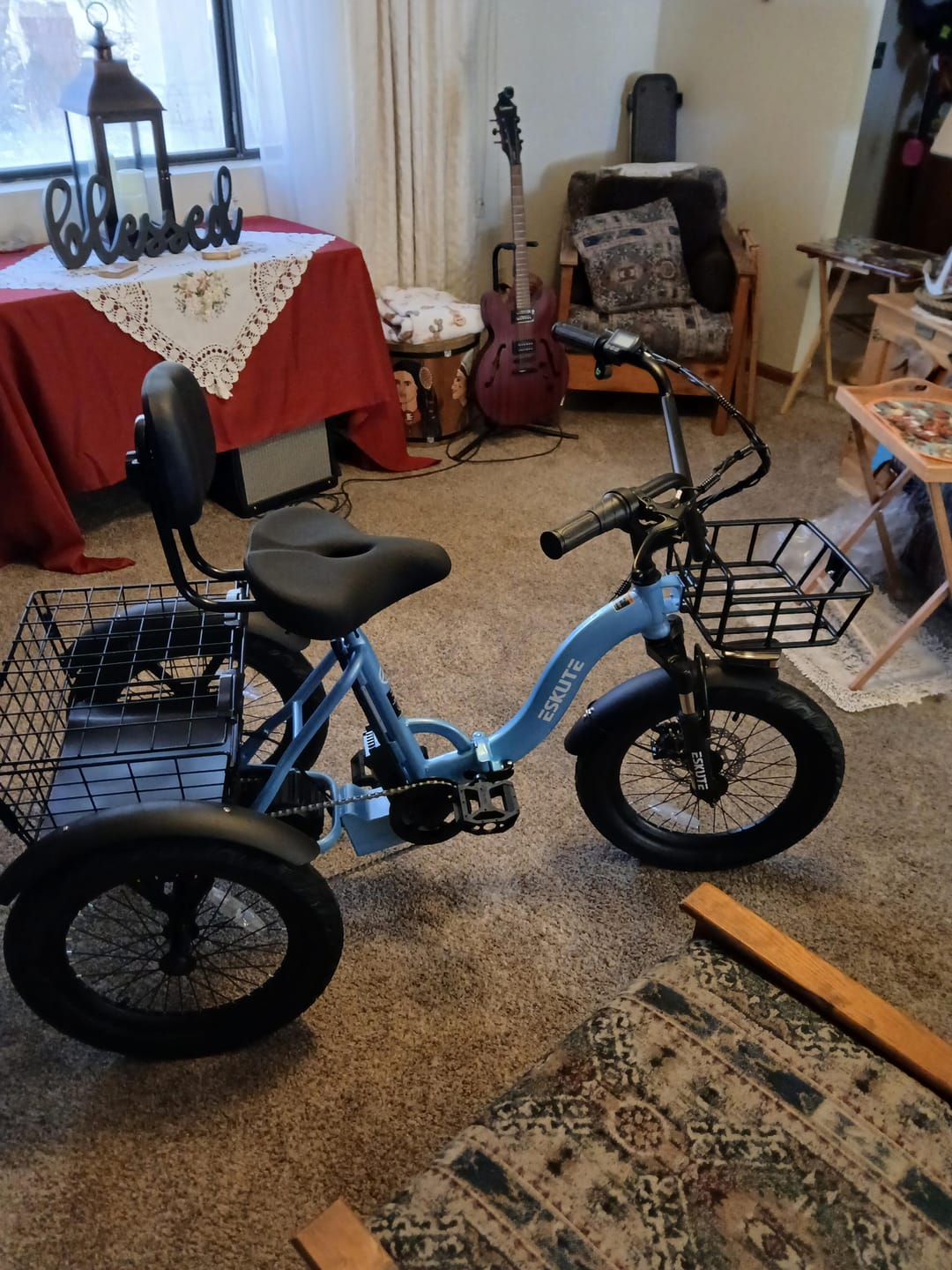 Customer photo review of Eskute® T300 Folding Electric Trike