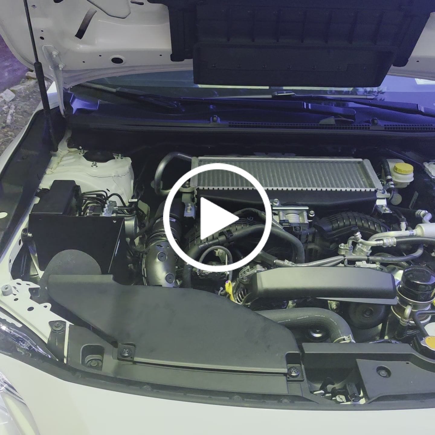 Customer video review of Intake, Cold Air with Heatshield for 2022-2026 WRX