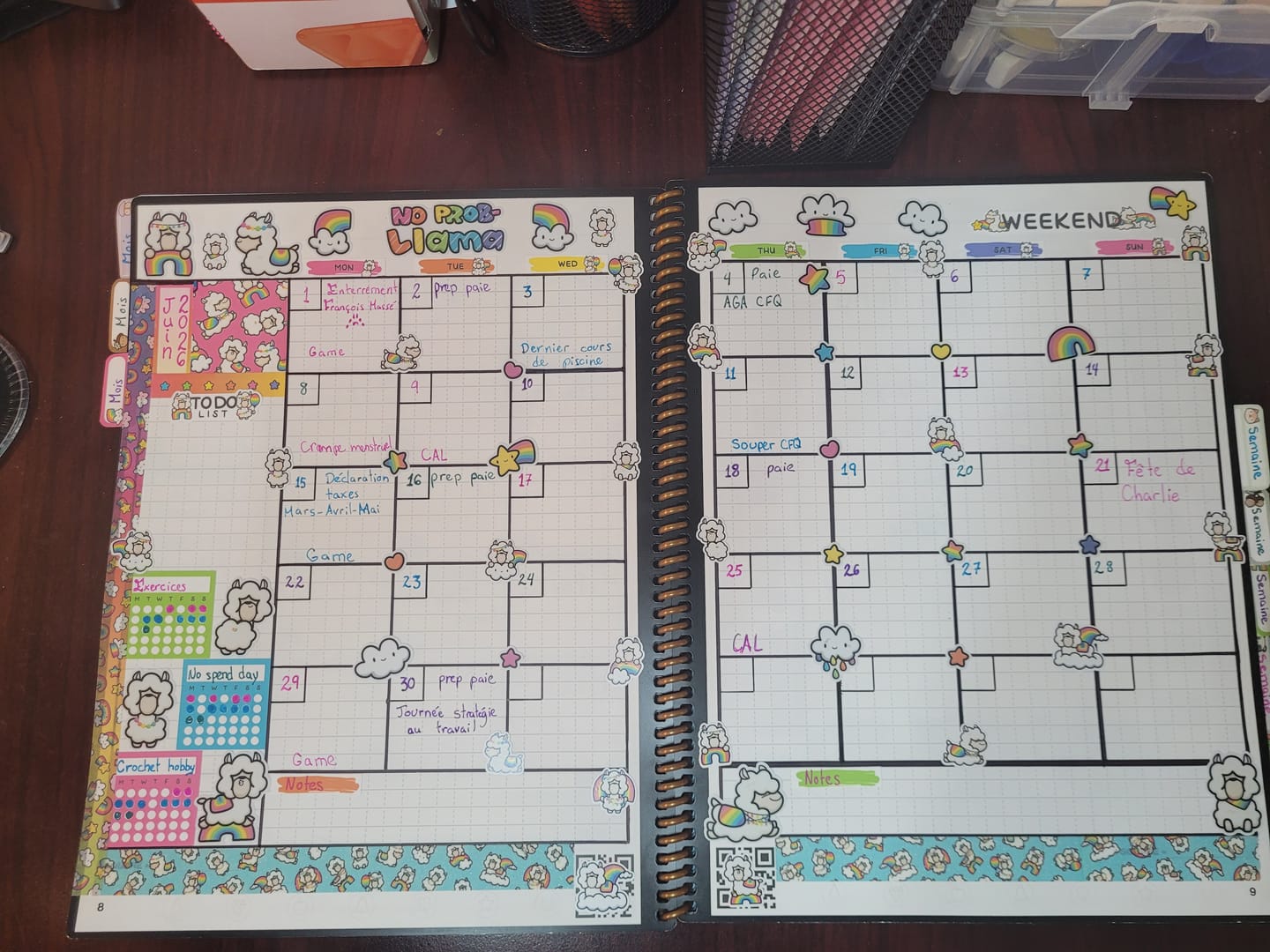Customer photo review of No Prob-llama Planner Stickers