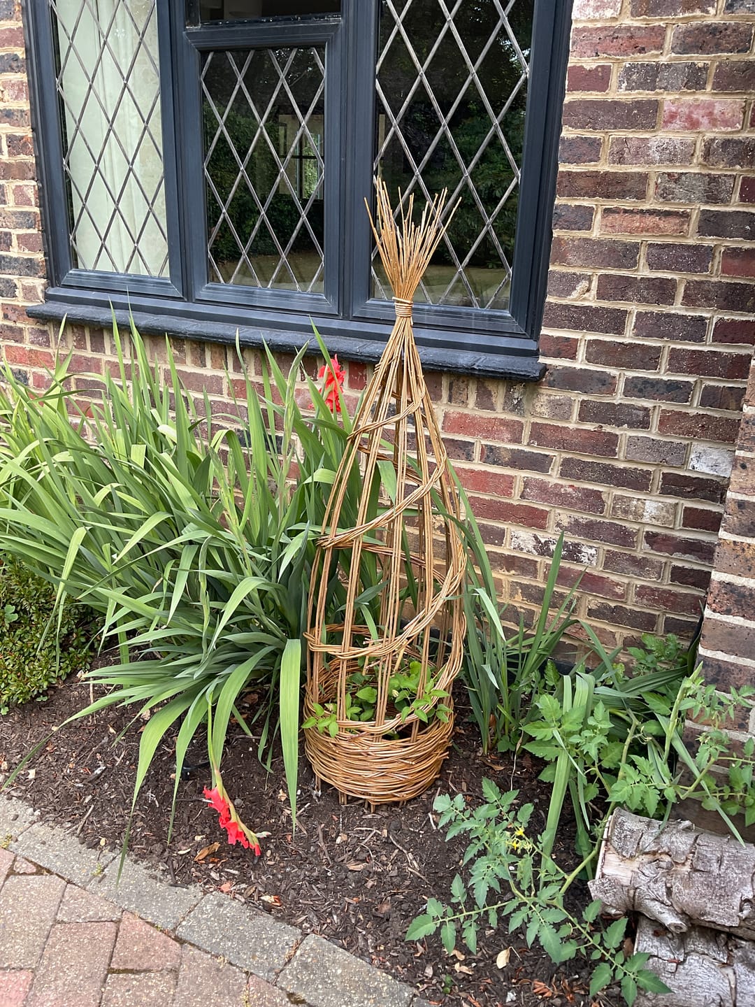 Customer photo review of The Willow Plant Support - Online Course and Kit