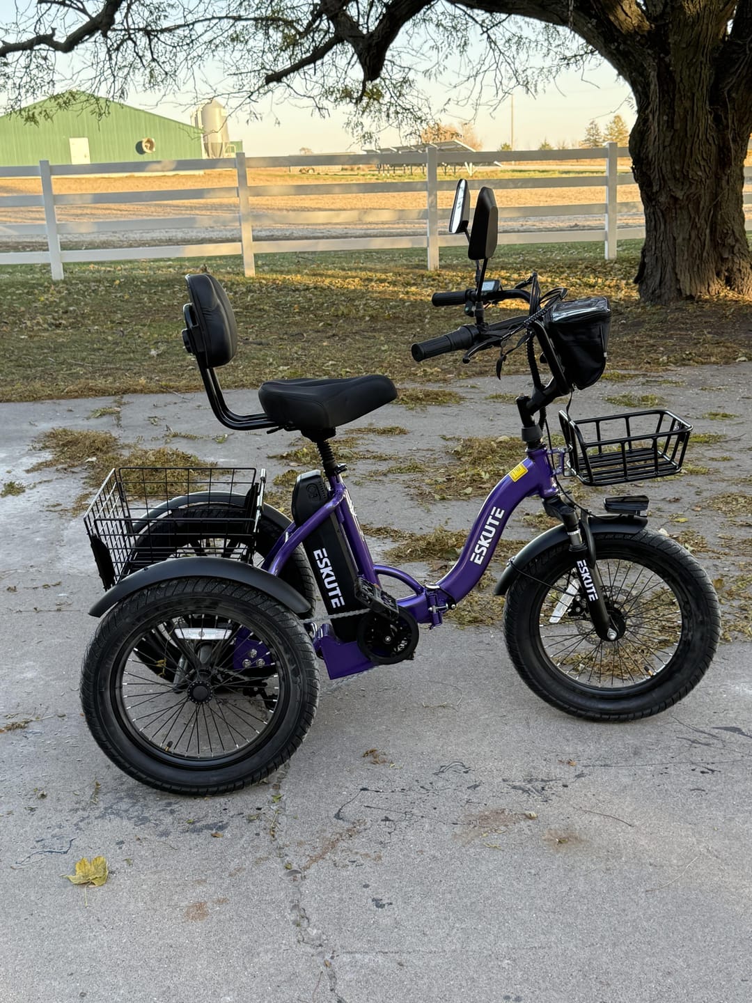 Customer photo review of Eskute® T300Pro Folding Electric Trike