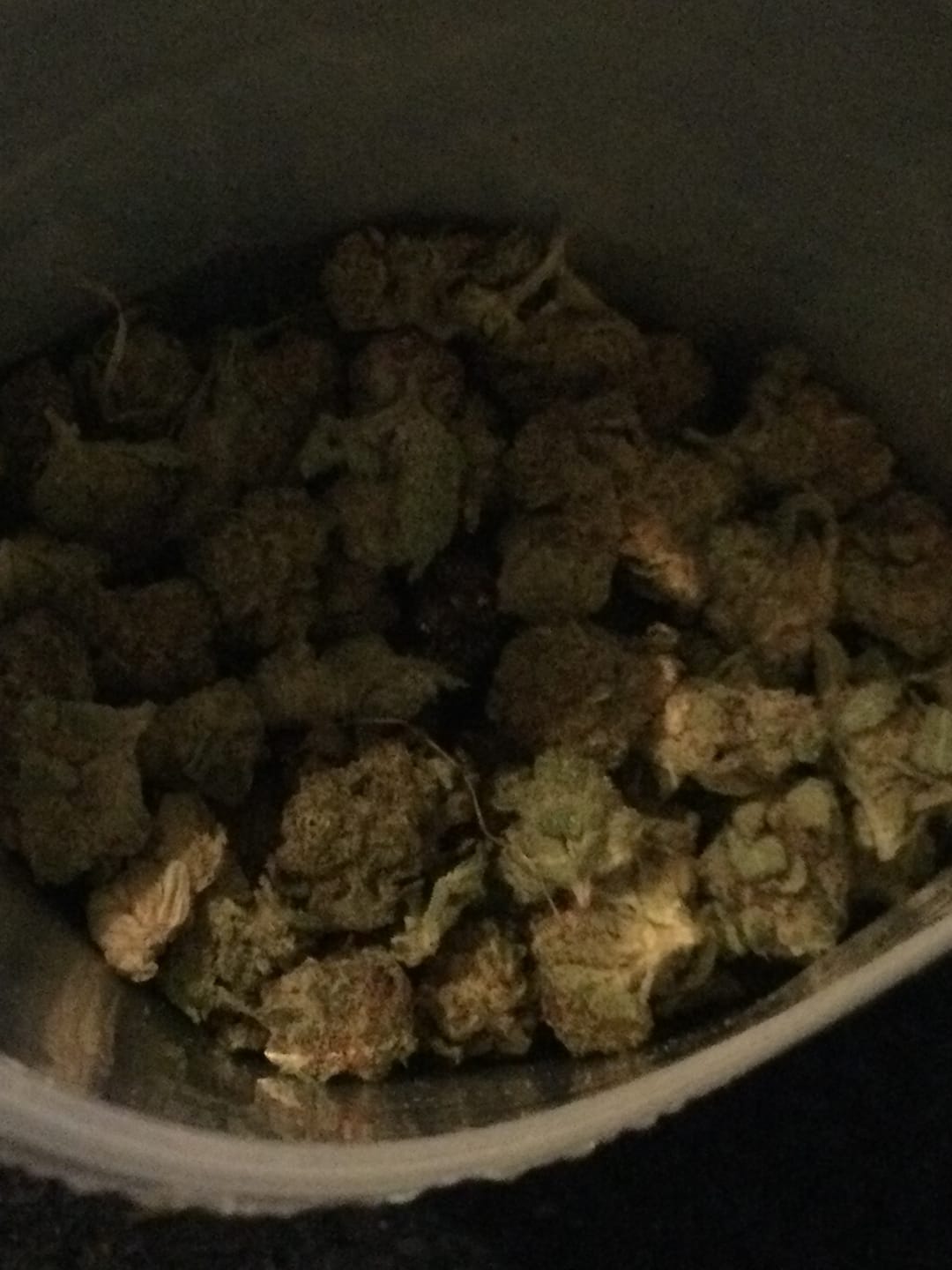 Customer photo review of Gelato Cake - 28 Grams - Hybrid