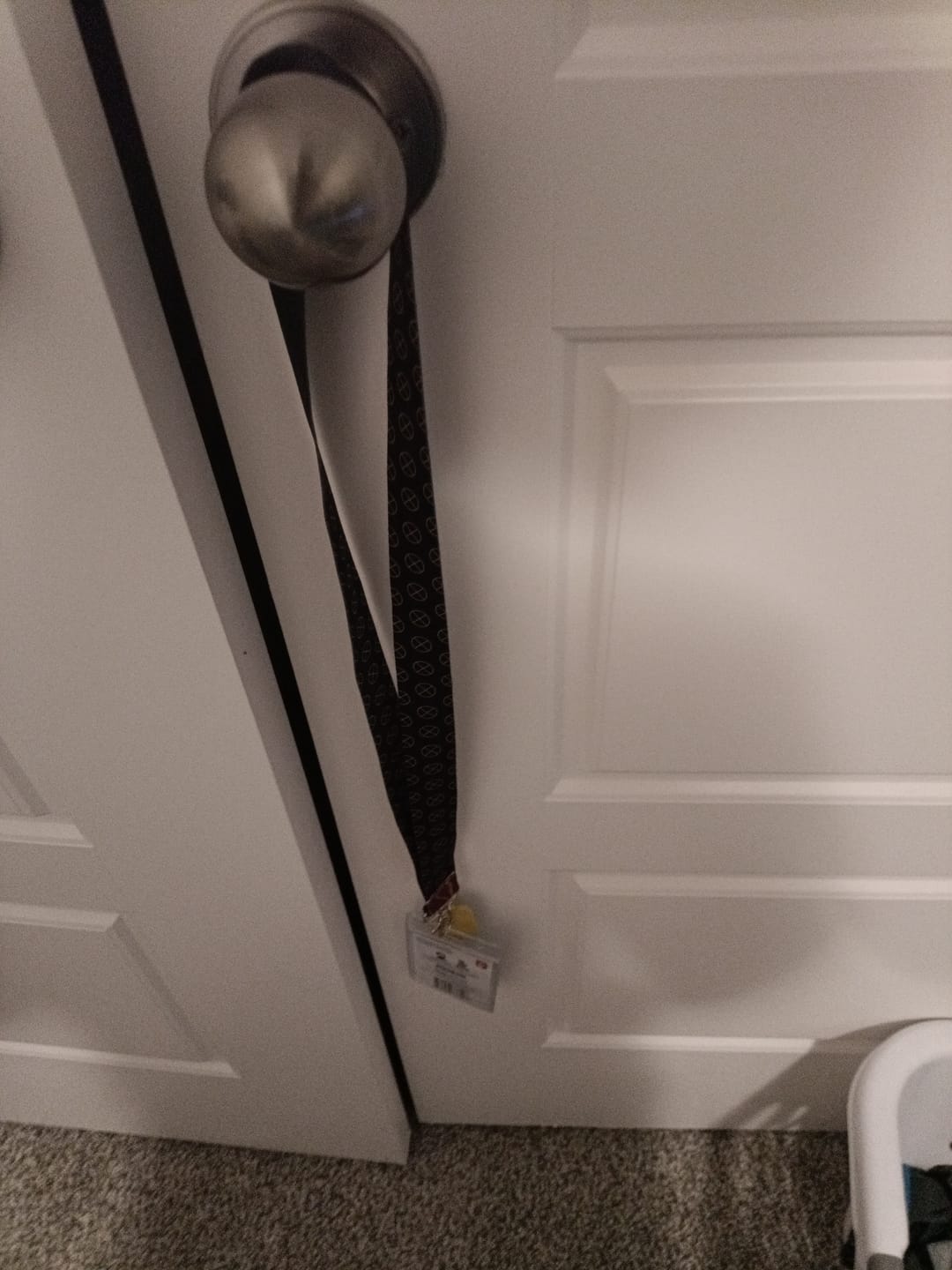 Customer photo review of Rain World - Watcher Karma Flower Lanyard