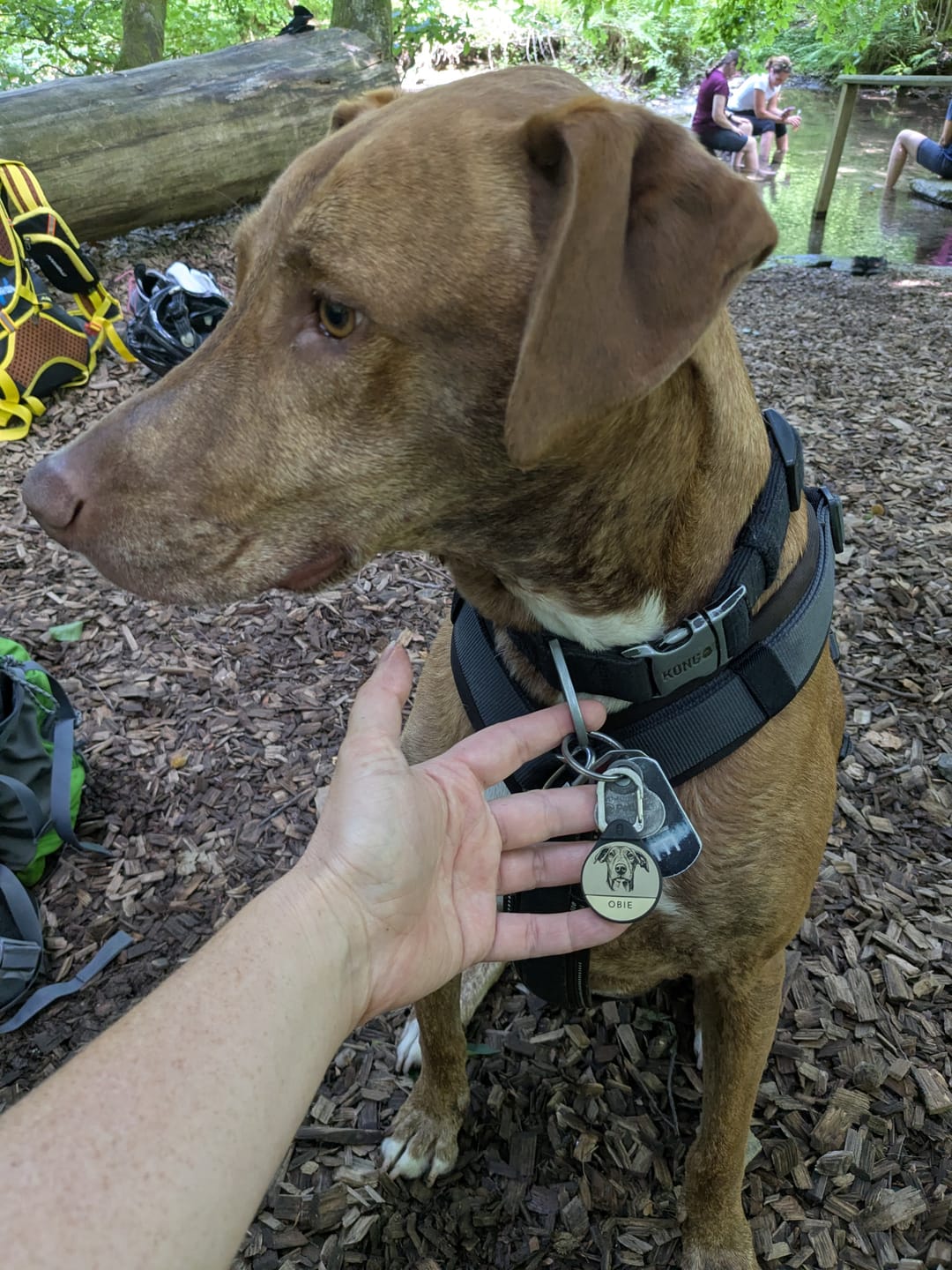 Customer photo review of Custom Portrait - Silent Dog ID Tag (Copy)