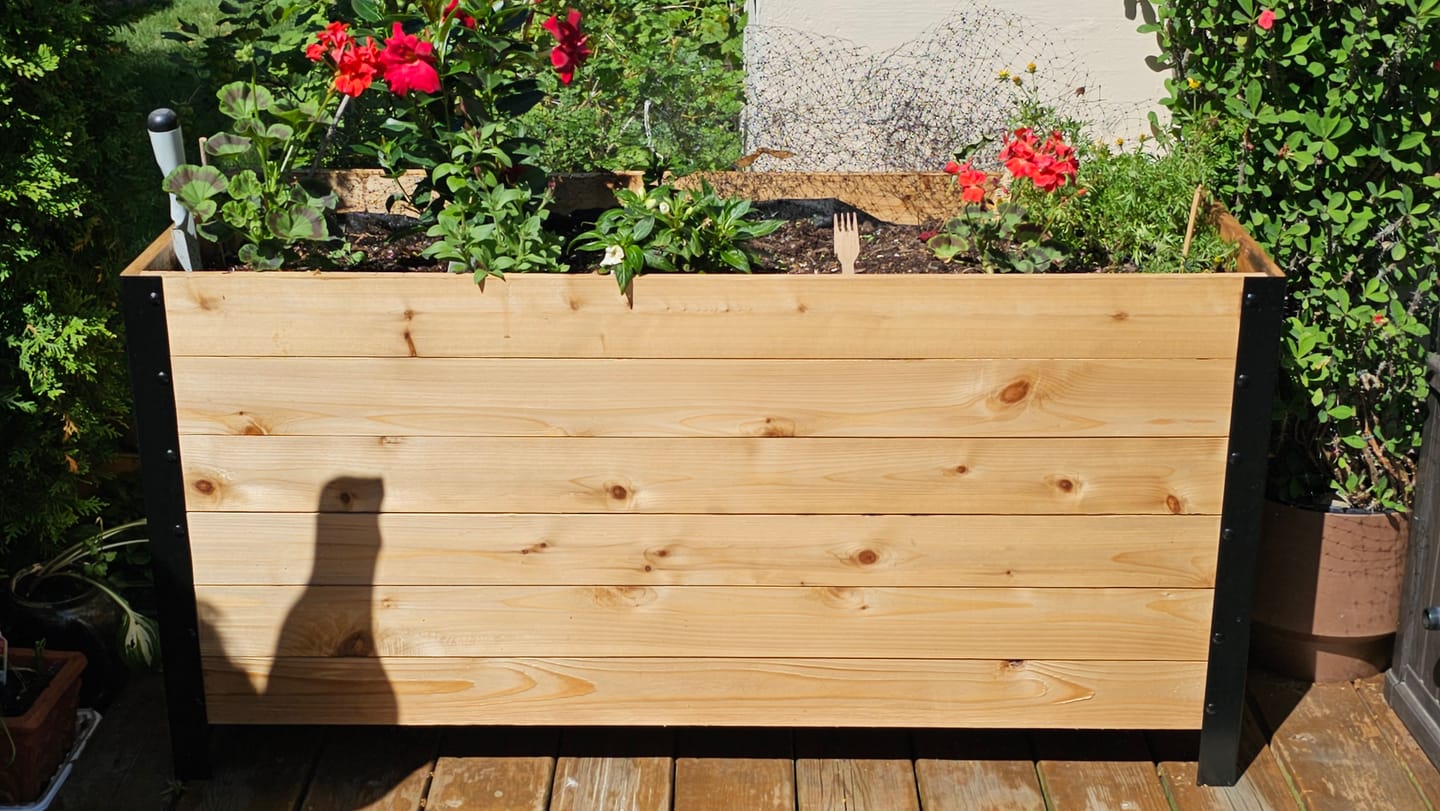Customer photo review of 18" x 48" Planter Box - 24" TALL / Garden Grade