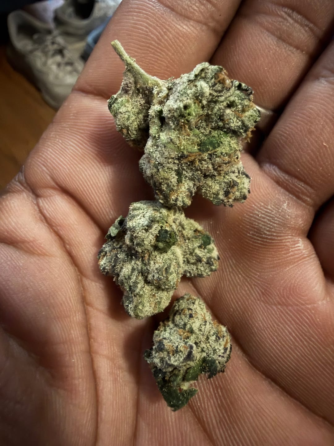 Customer photo review of Elite Boutique Exotics A5 Wagyu - Bulk - Hybrid