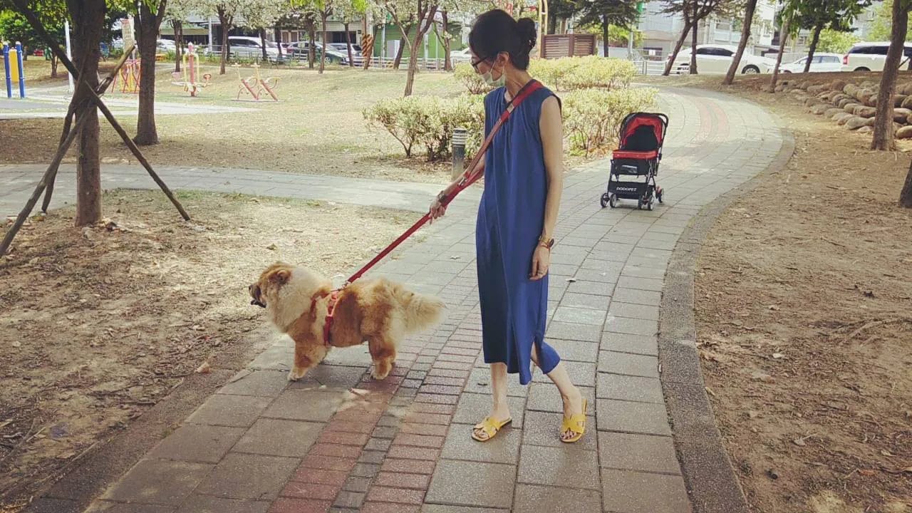 Customer photo review of TERRA 2-in-1 Crossbody Dog Leash – Hands-Free & Handheld Multi-Way Walking Design, Leash Only or Harness & Leash Set Available