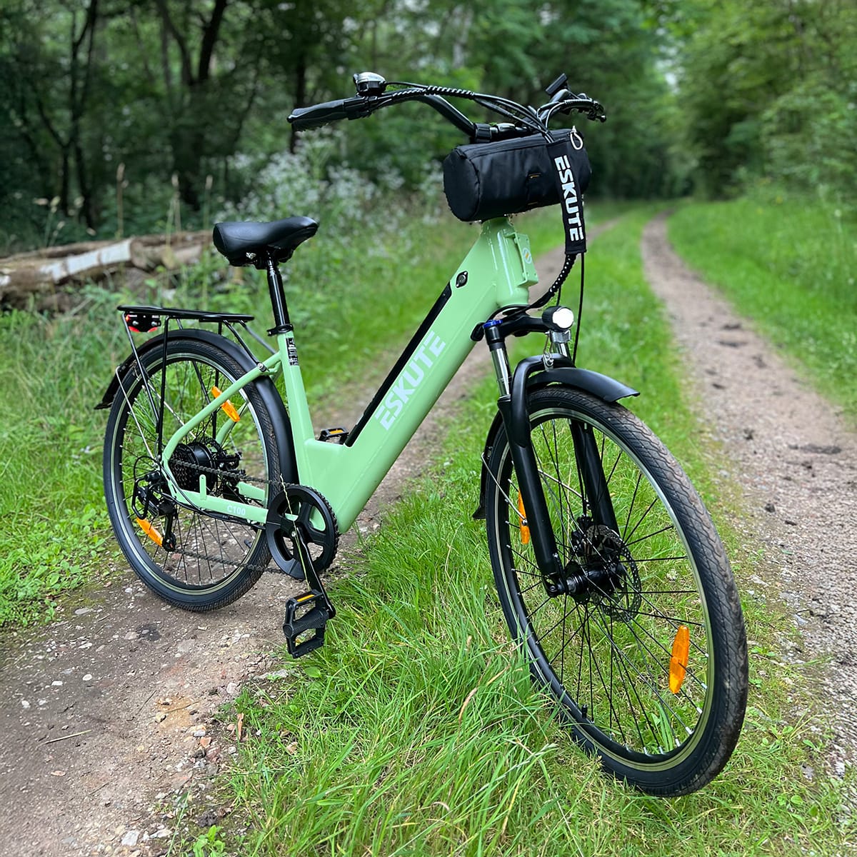 Customer photo review of Eskute® C200 ST City Commuter Electric Bike