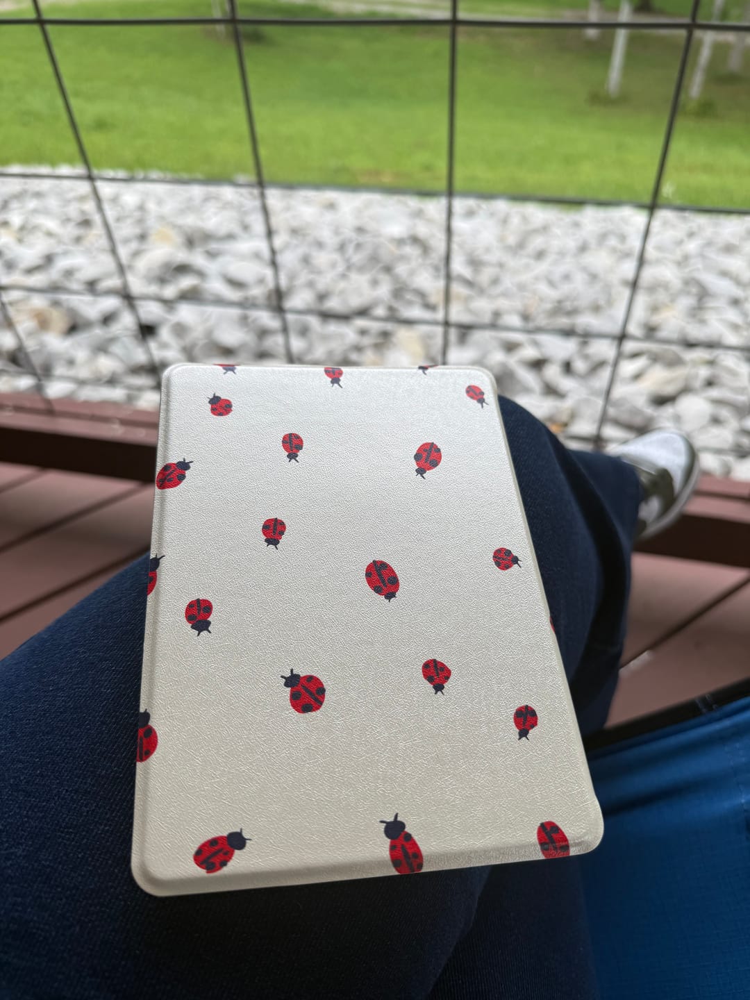 Customer photo review of Little Ladies - Kindle Case