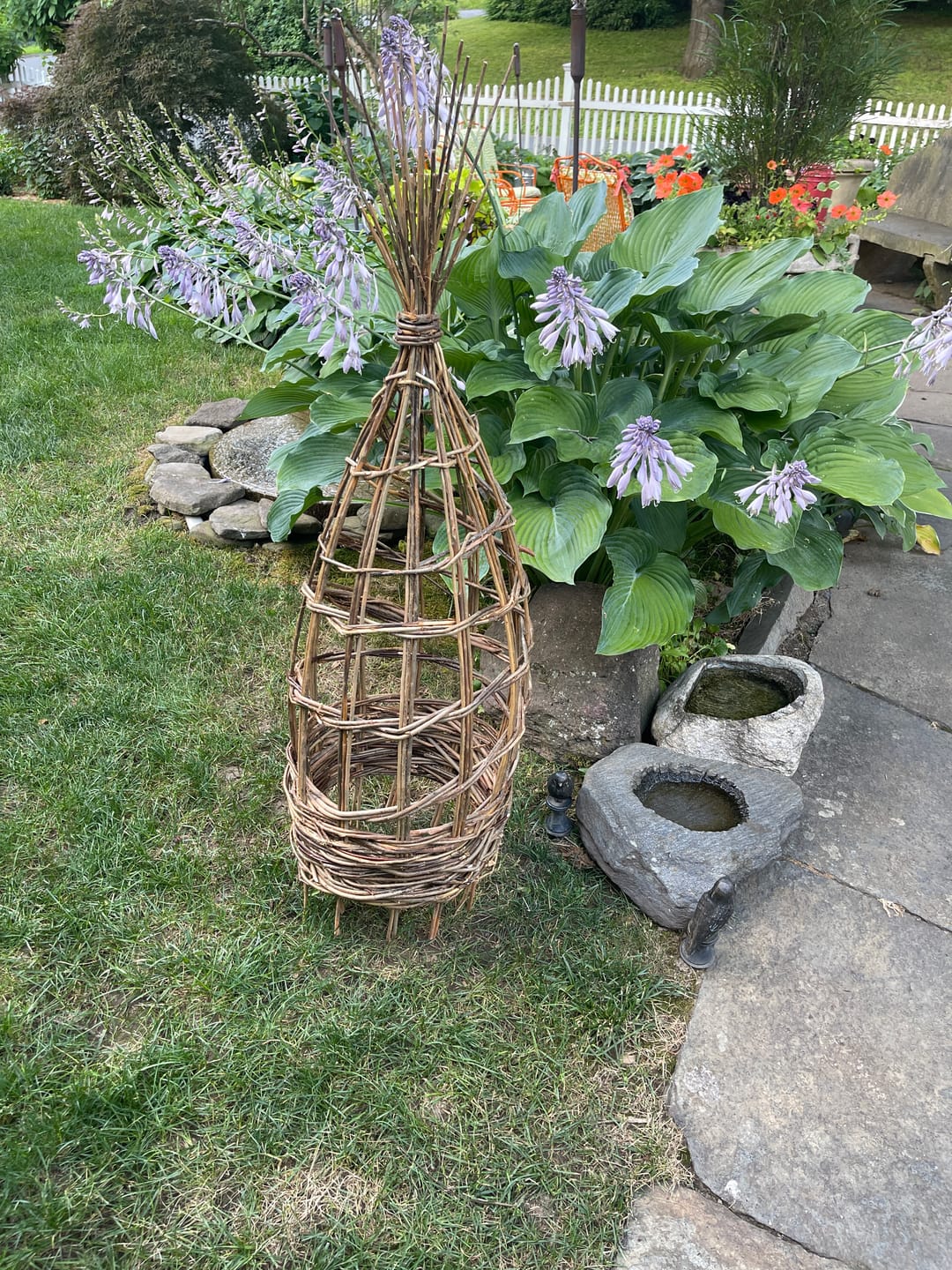 Customer photo review of The Willow Plant Support (3.8 Feet Tall)