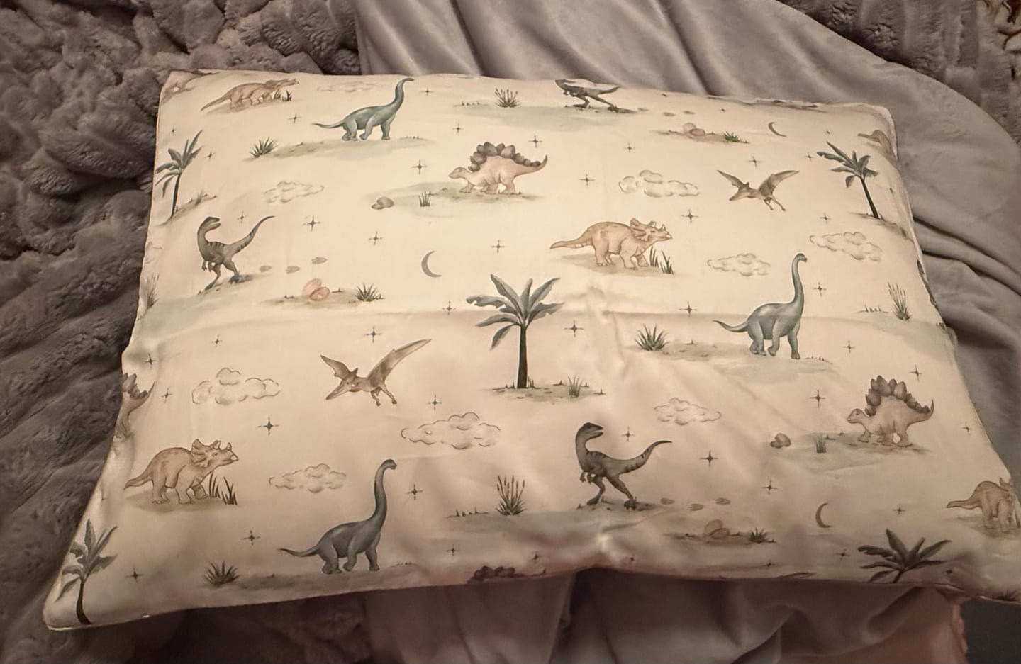 Customer photo review of Dino Dreams Toddler Pillow - Sage