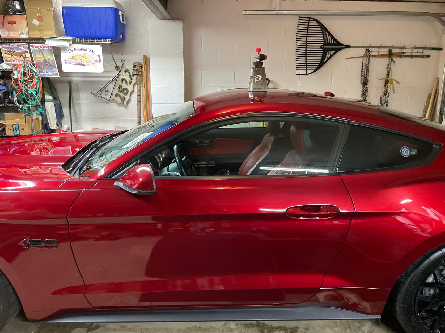 Customer photo review of Ripclean™ Snow Foam Cannon 3.0