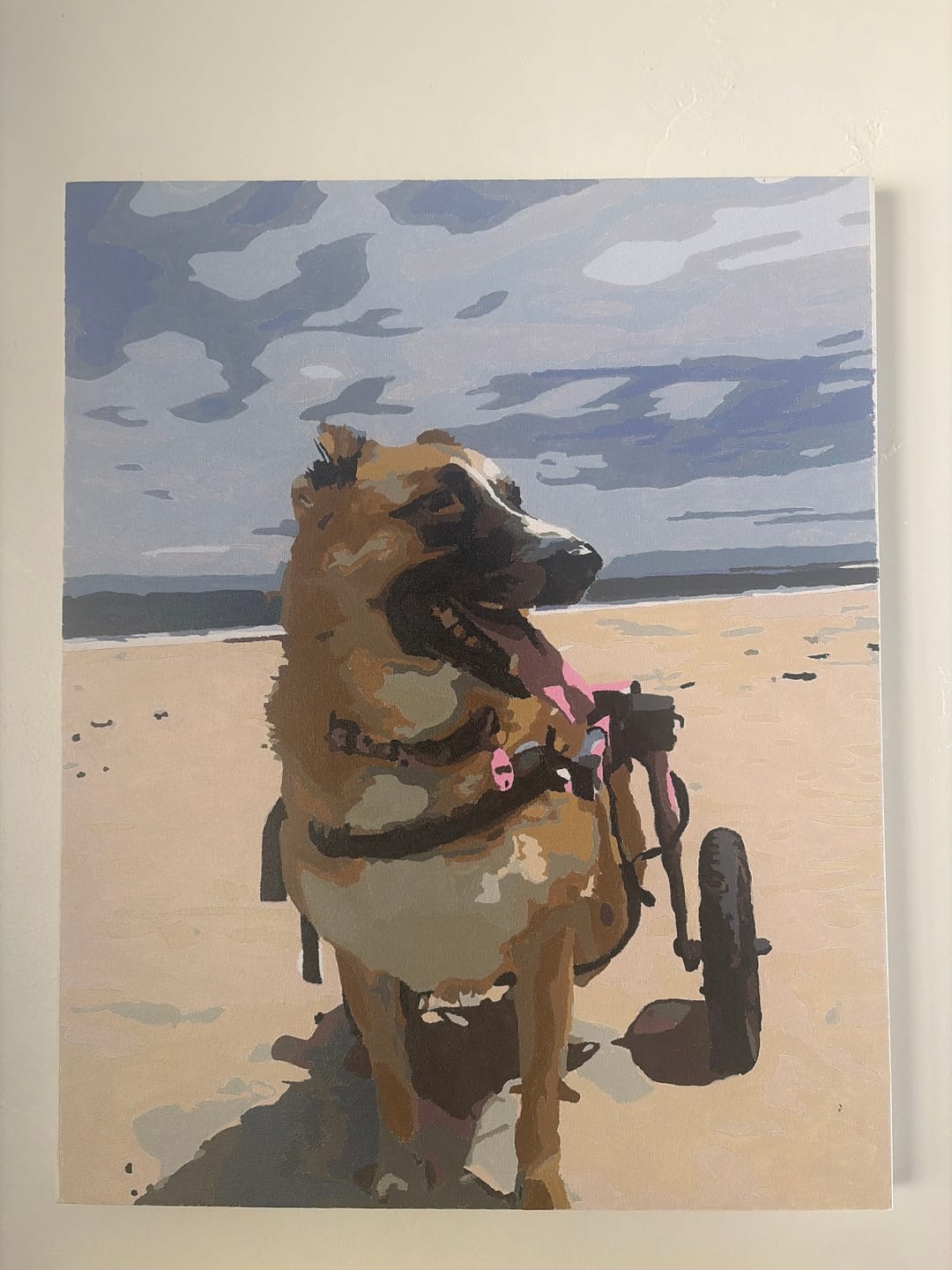 Customer photo review of Custom Paint By Numbers Kit