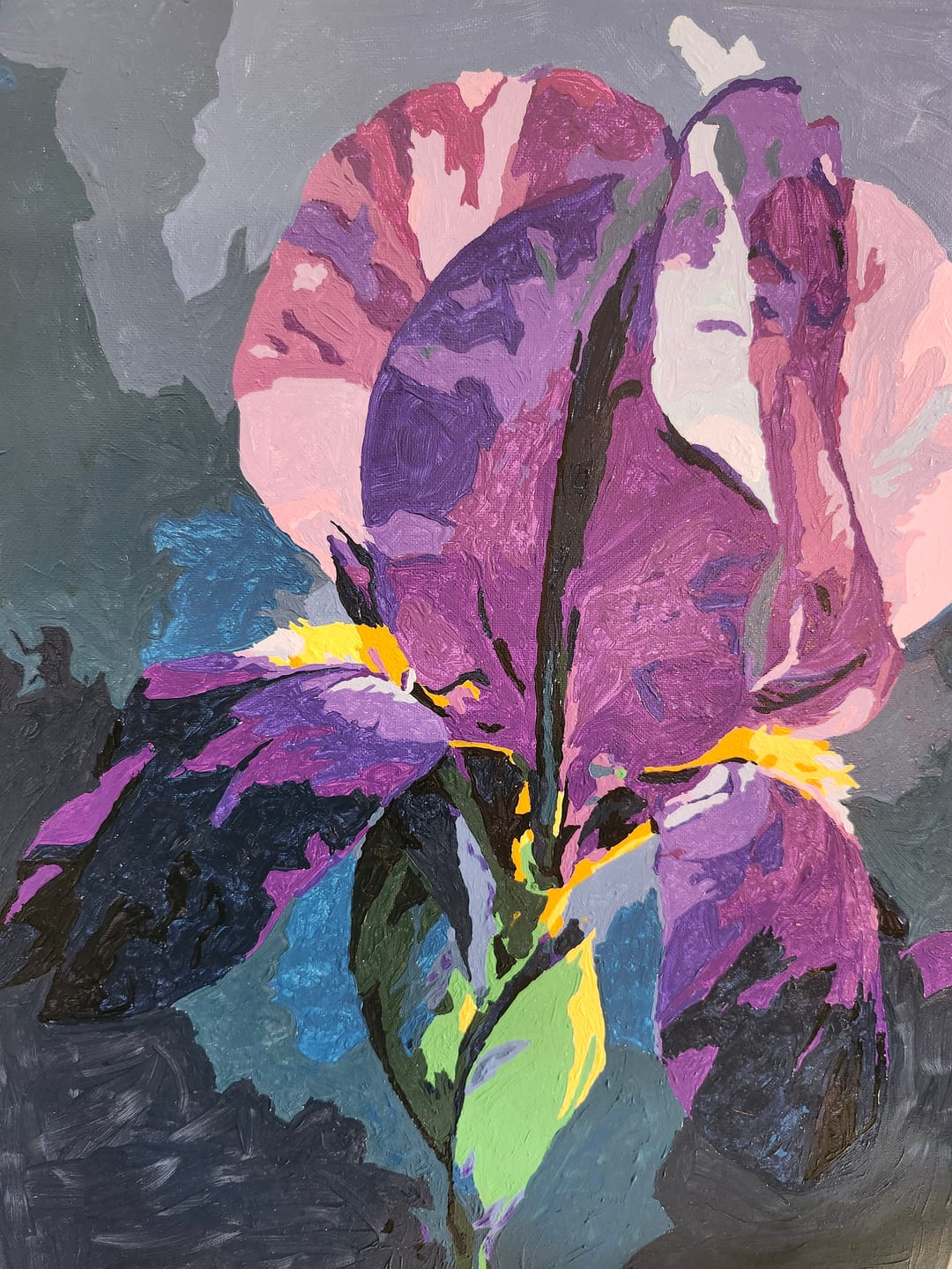 Customer photo review of Velvet Iris | Paint by Number