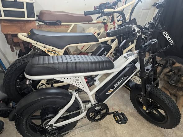 Customer photo review of Eskute® V100 16*4.0" Electric Bike for Kids&Teens