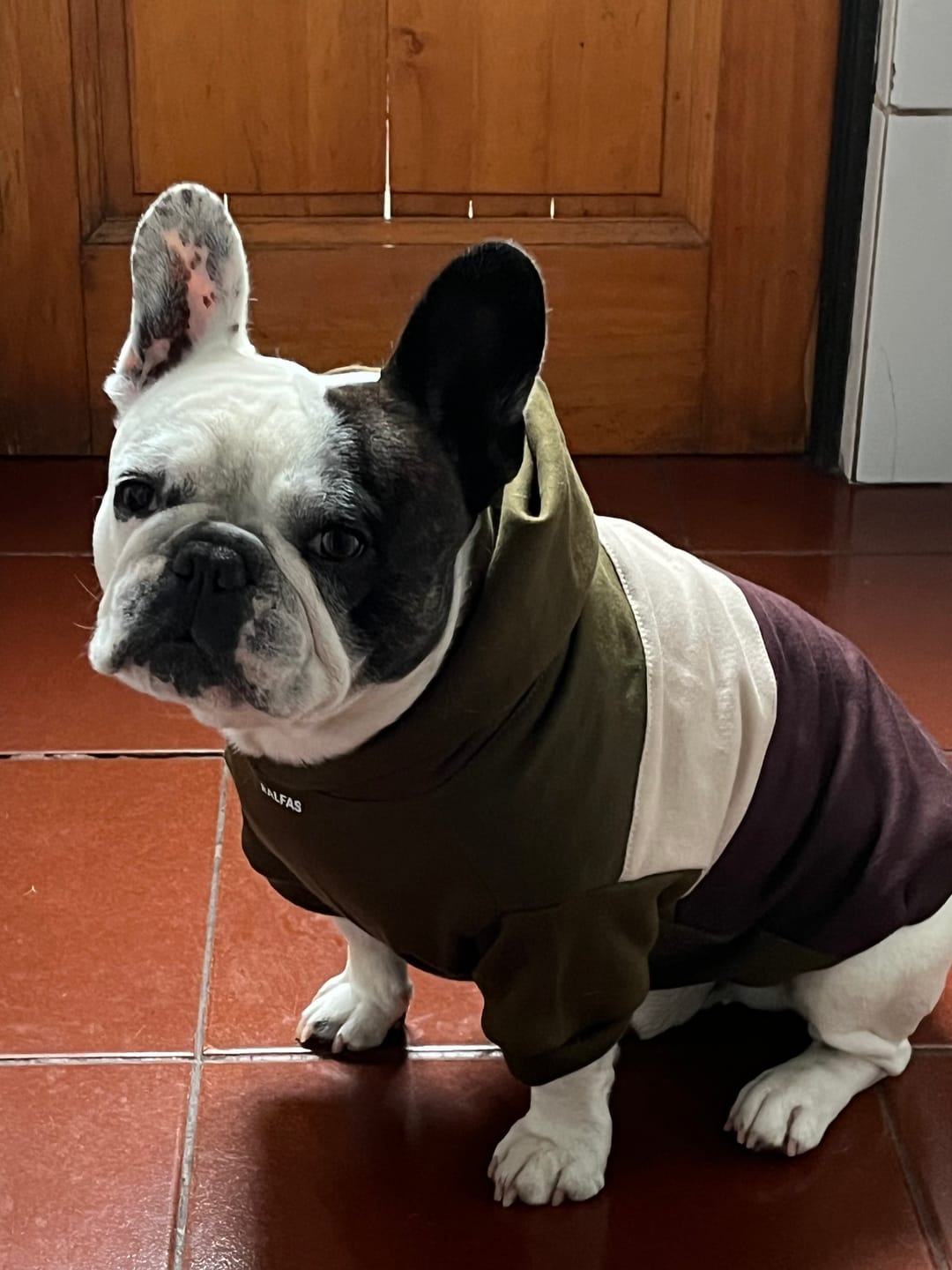 Customer photo review of Poleron de Algodón - Bosque Austral