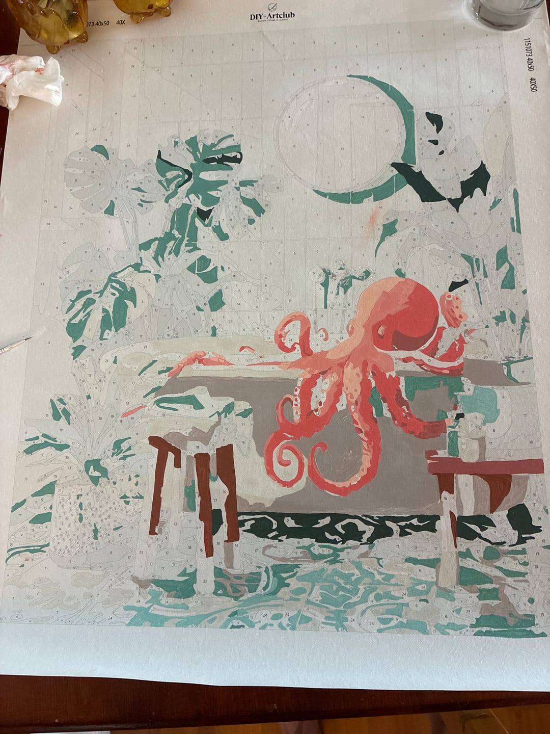 Customer photo review of Octo bath | Paint by Number