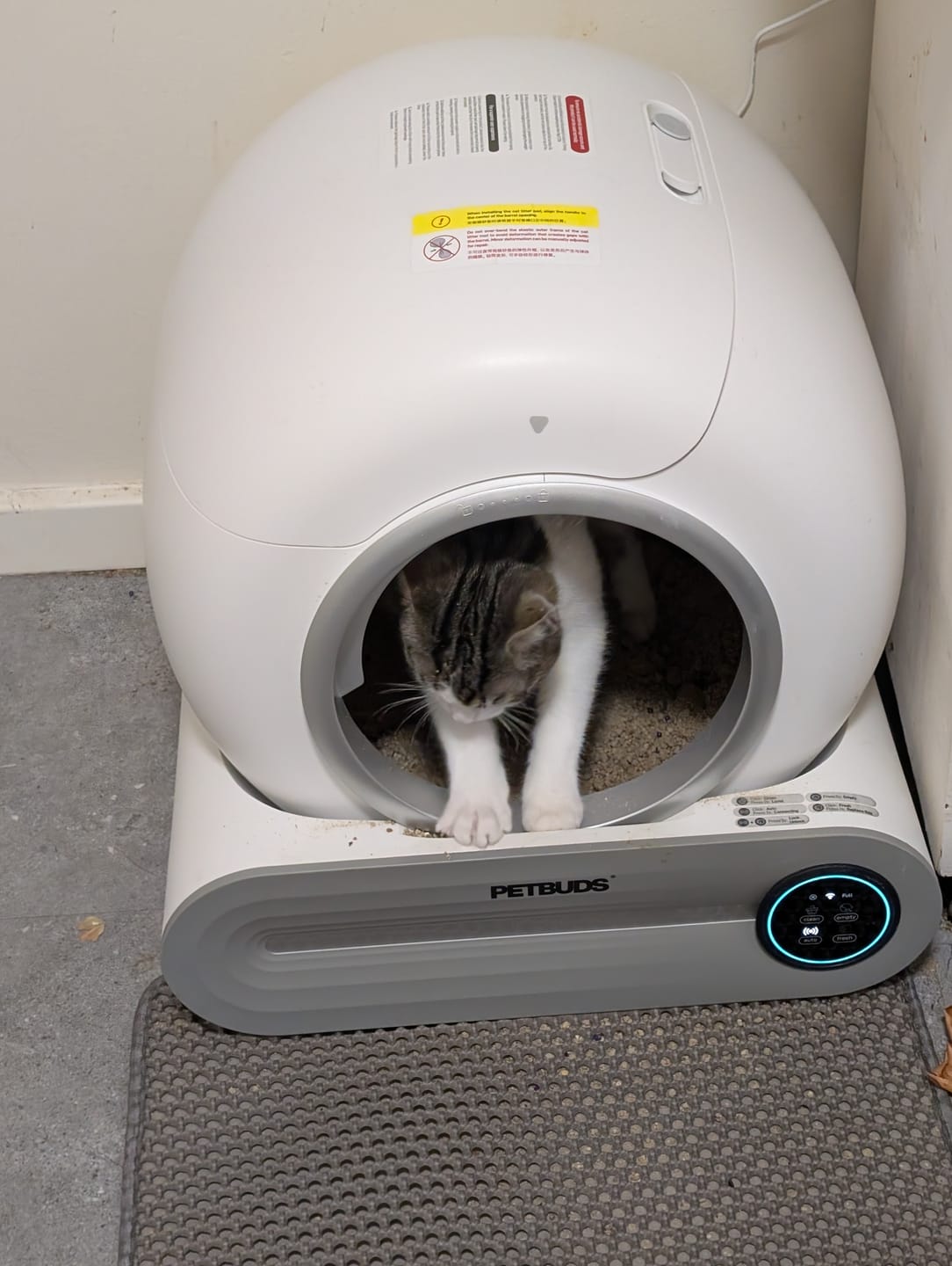 Customer photo review of Petbuds™ Pro 2026 Automatic Self-Cleaning Litter Box