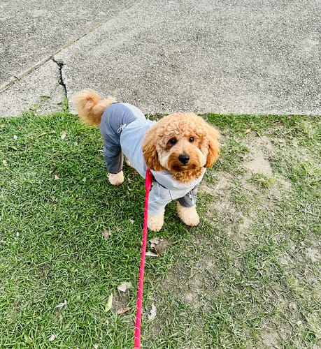 Customer photo review of Signature Warmth Bundle