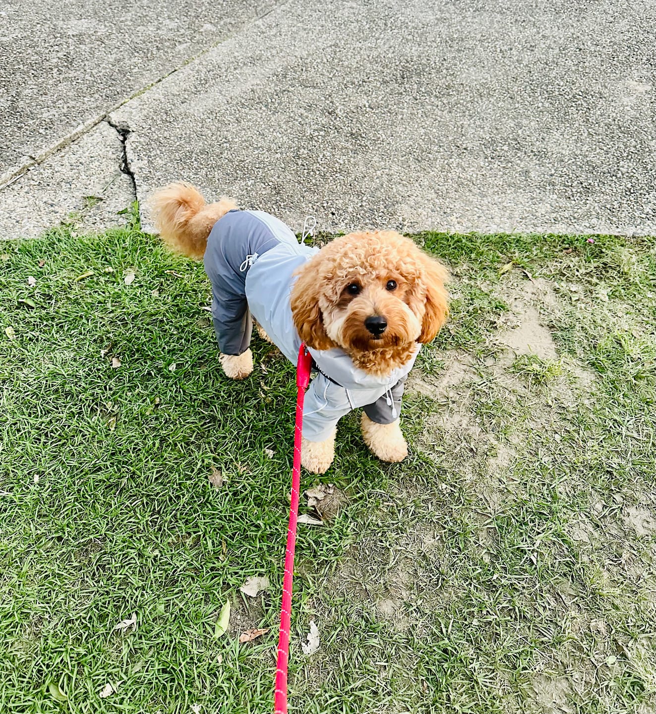 Customer photo review of Signature Warmth Bundle