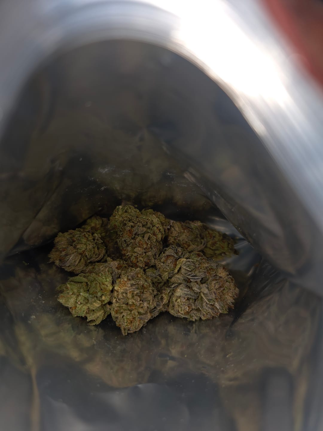 Customer photo review of Good Day - 14 Grams - Ice Cream Cake - Indica