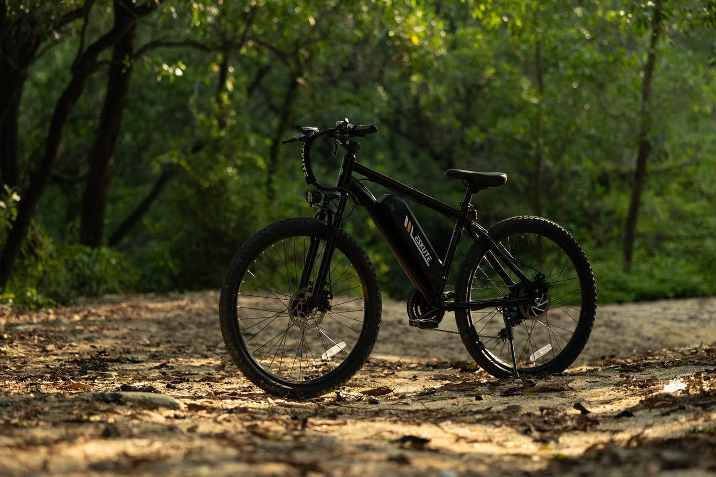 Customer photo review of Eskute® M200F 27.5" Full Suspension Electric Bike