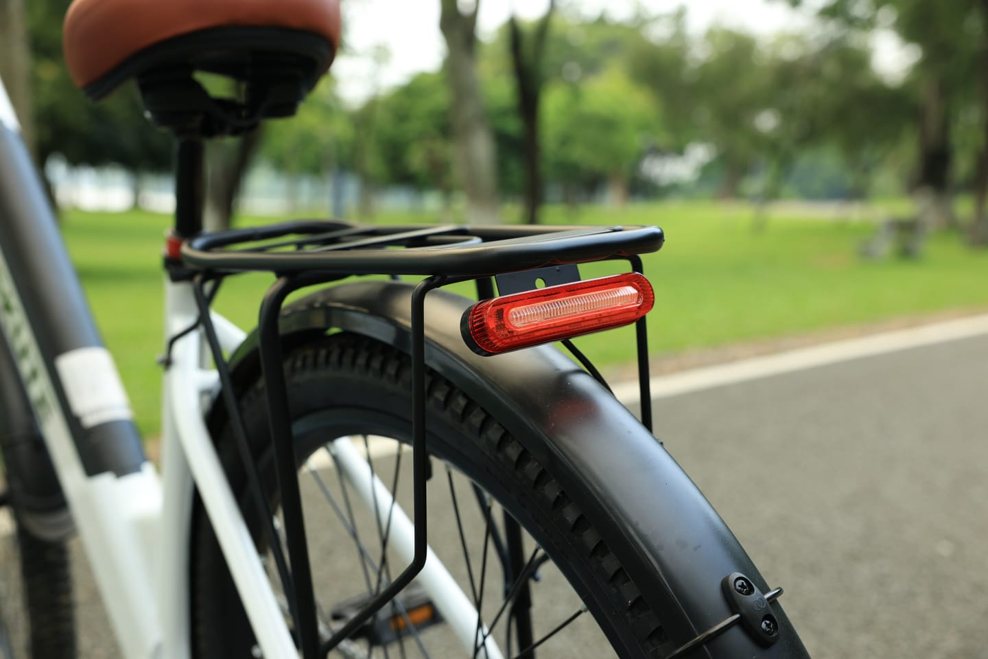 Customer photo review of Eskute® C200 ST City Commuter Electric Bike