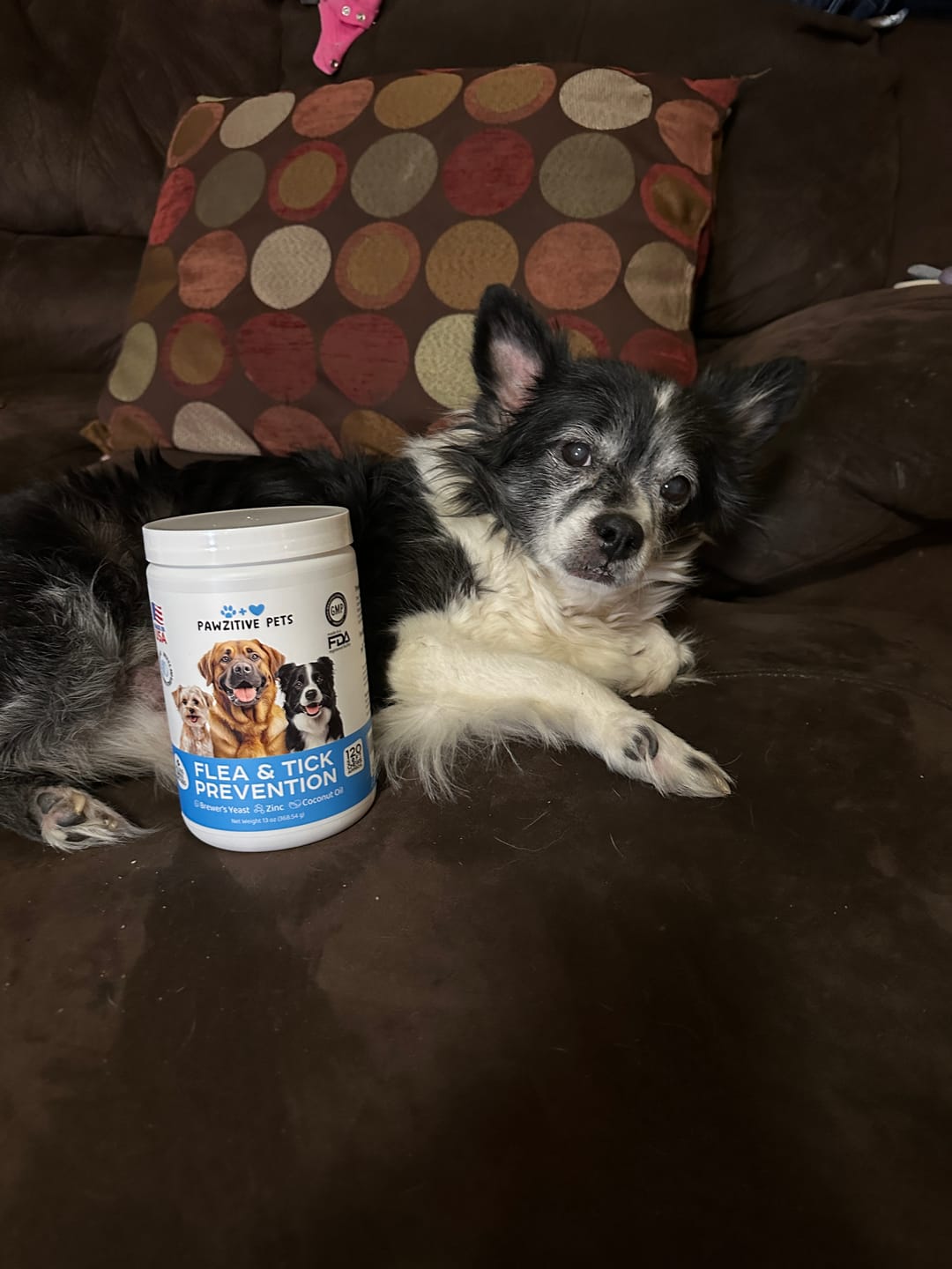 Customer photo review of Flea and Tick Prevention for Dogs – 120 Soft Chews