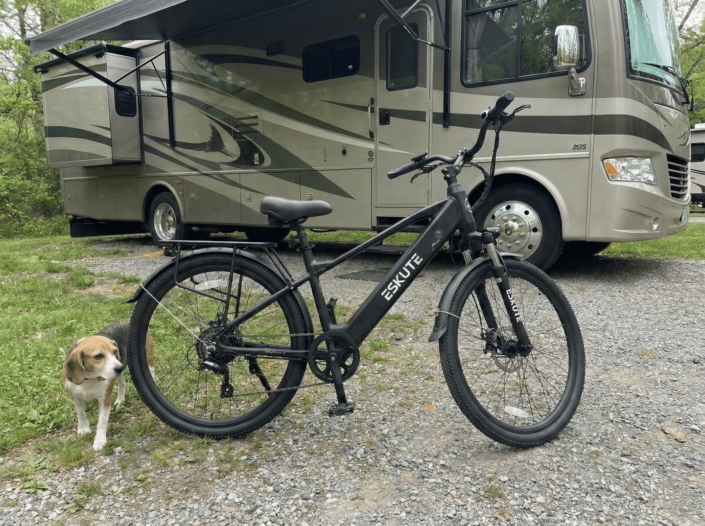 Customer photo review of Eskute® C200 SO Electric Bike for Adults