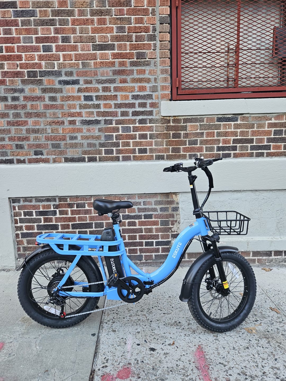 Customer photo review of Eskute® D200 Folding Electric Bike for Adults