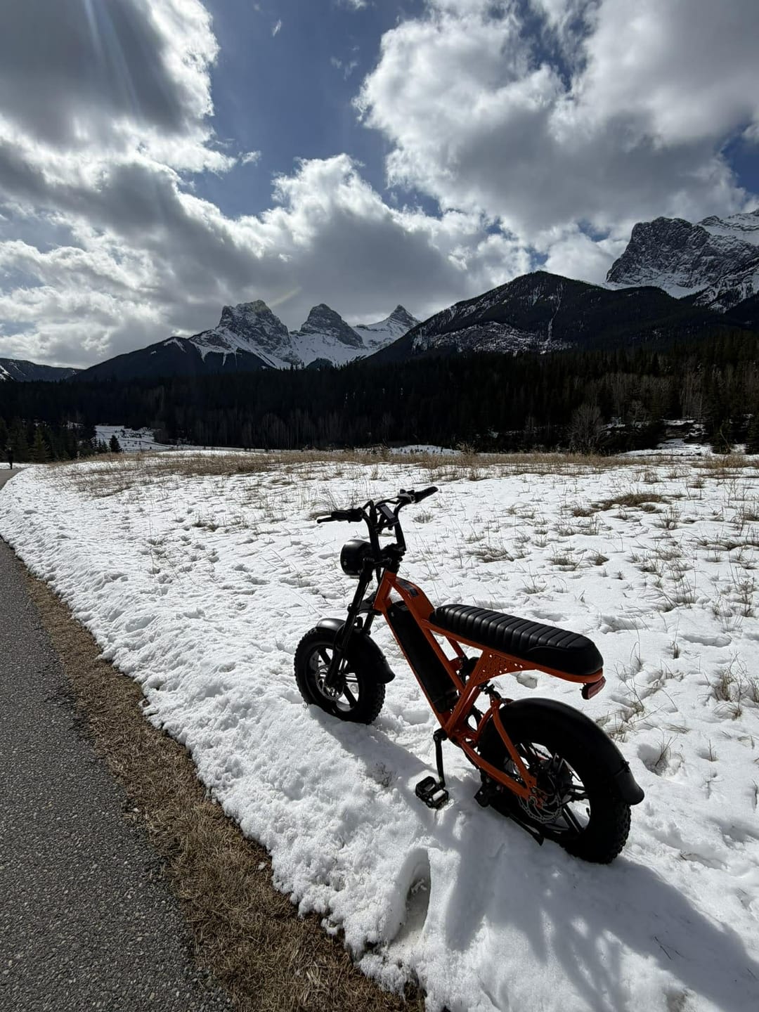 Customer photo review of Eskute® V100 16*4.0" Electric Bike for Kids&Teens