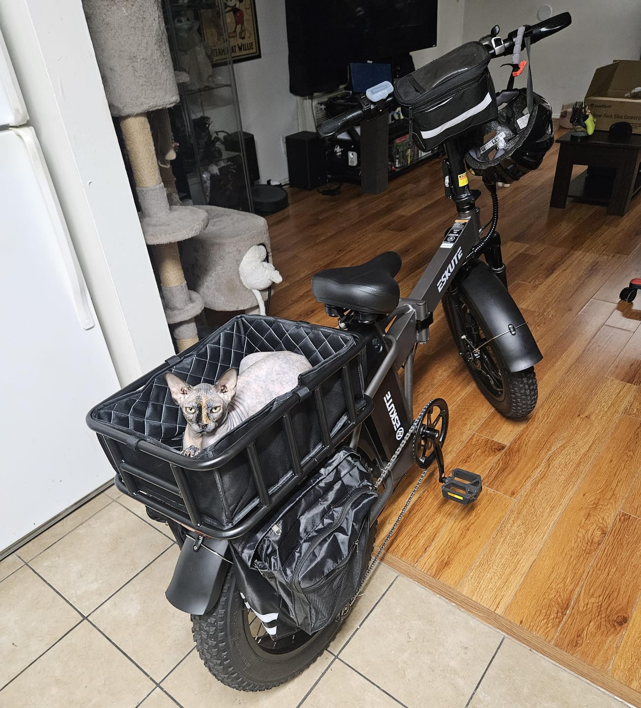 Customer photo review of Eskute® D300  Adventurer Ebike
