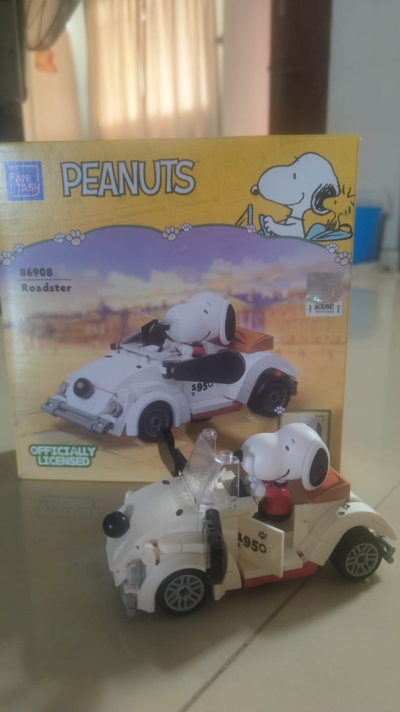 Customer photo review of Pantasy x Snoopy Where We Go Series 86905-86908