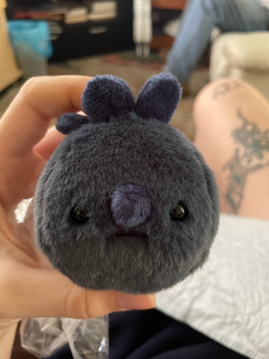 Customer photo review of Forgotten Single Blueberry