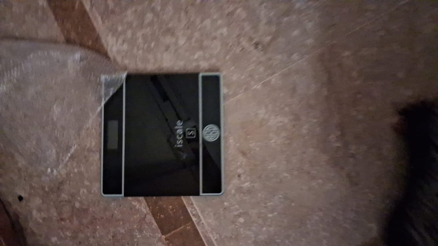 Customer photo review of Lot Imported Body Scale