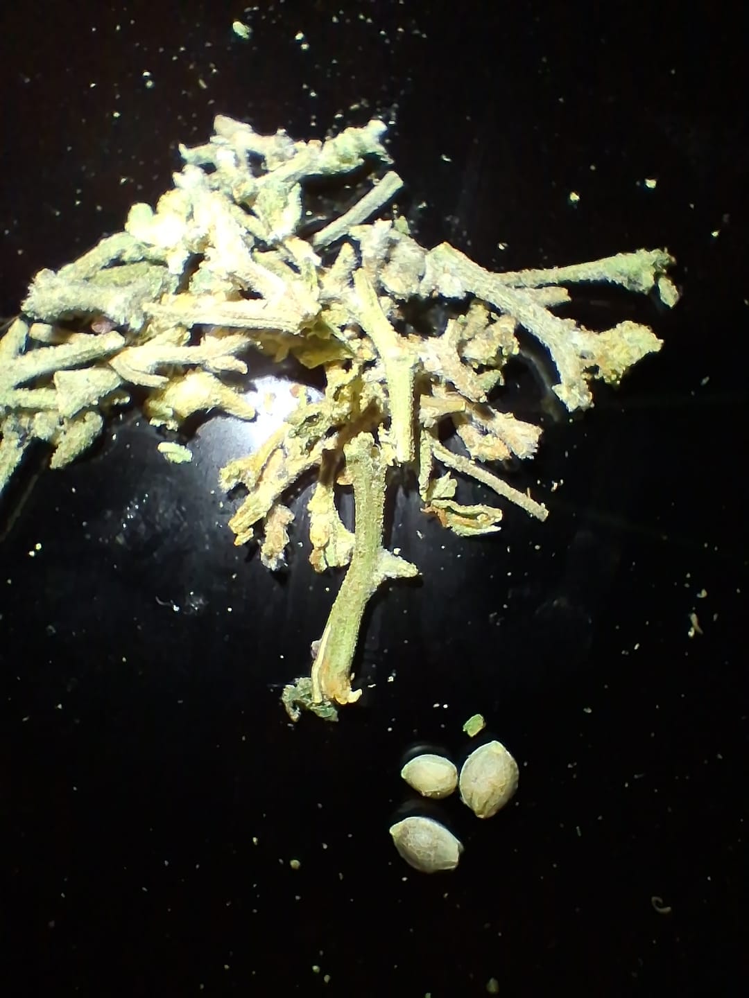 Customer photo review of Blackberry Kush - 28 Grams Littles - Indica